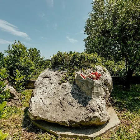 Bella * Podgorica